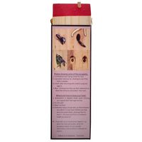 Tutus Loco Bee Hotel - Single